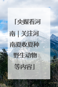 央媒看河南｜关注河南夏收夏种 野生动物等内容