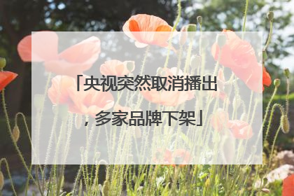 央视突然取消播出，多家品牌下架