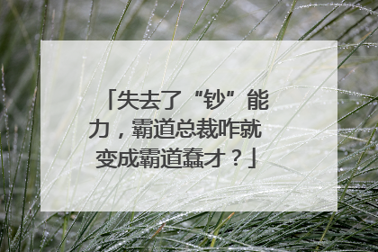 失去了“钞”能力，霸道总裁咋就变成霸道蠢才？