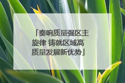 奏响质量强区主旋律 铸就区域高质量发展新优势