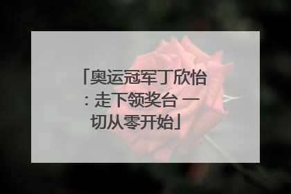 奥运冠军丁欣怡：走下领奖台 一切从零开始