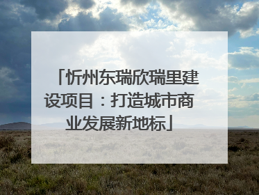 忻州东瑞欣瑞里建设项目：打造城市商业发展新地标