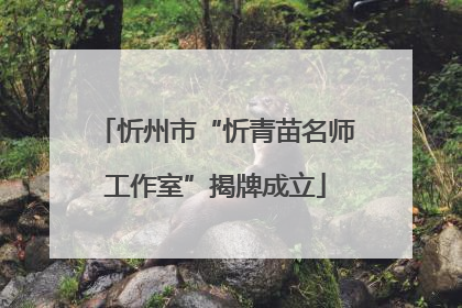 忻州市“忻青苗名师工作室”揭牌成立