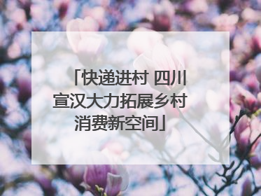 快递进村 四川宣汉大力拓展乡村消费新空间