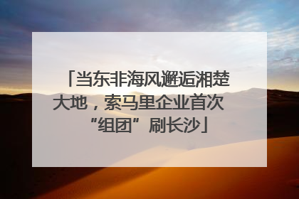 当东非海风邂逅湘楚大地，索马里企业首次“组团”刷长沙