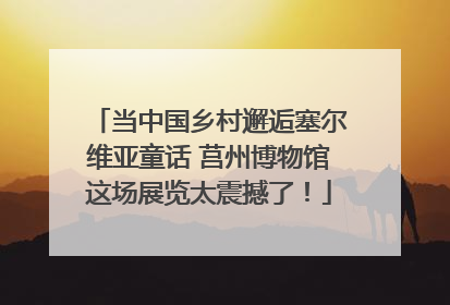 当中国乡村邂逅塞尔维亚童话 莒州博物馆这场展览太震撼了！