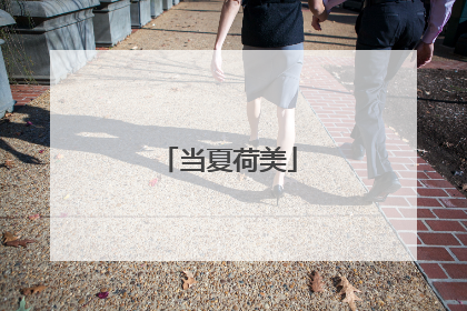 当夏荷美