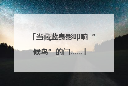 当藏蓝身影叩响“候鸟”的门……