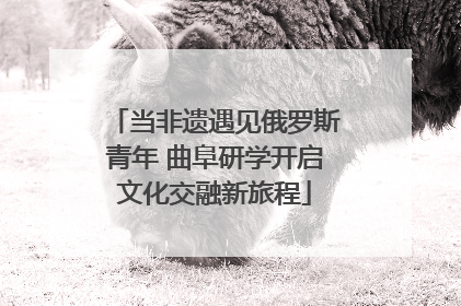 当非遗遇见俄罗斯青年 曲阜研学开启文化交融新旅程