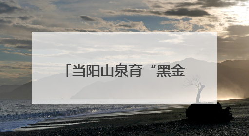 当阳山泉育“黑金” 一条鲟鱼“游”出10亿元大产业