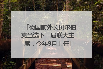 德国前外长贝尔伯克当选下一届联大主席，今年9月上任