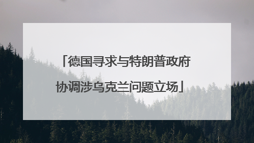 德国寻求与特朗普政府协调涉乌克兰问题立场