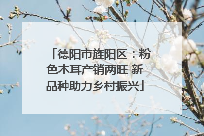 德阳市旌阳区：粉色木耳产销两旺 新品种助力乡村振兴