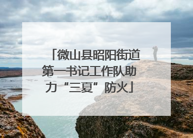 微山县昭阳街道第一书记工作队助力“三夏”防火