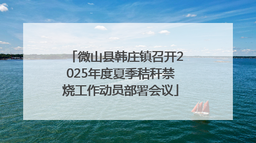 微山县韩庄镇召开2025年度夏季秸秆禁烧工作动员部署会议