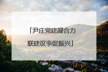尹庄党建凝合力 联建议事促振兴