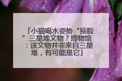 小猫喝水姿势“撞脸”三星堆文物？博物馆：该文物并非来自三星堆，有可能是它