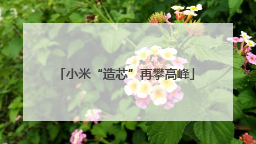 小米“造芯”再攀高峰