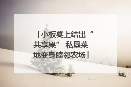 小板凳上结出“共享果” 私垦菜地变身睦邻农场