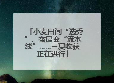 小麦田间“选秀”、蚕房变“流水线”……三夏收获正在进行