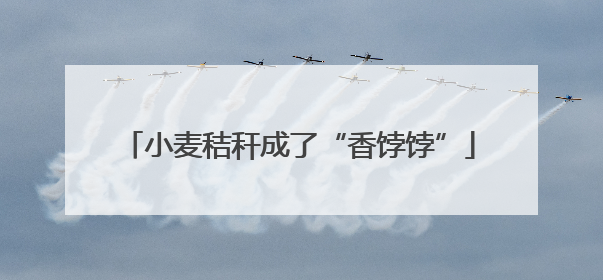 小麦秸秆成了“香饽饽”