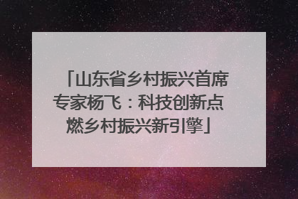 山东省乡村振兴首席专家杨飞：科技创新点燃乡村振兴新引擎