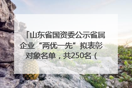 山东省国资委公示省属企业“两优一先”拟表彰对象名单，共250名（个）党员和党组织