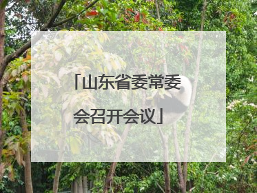 山东省委常委会召开会议