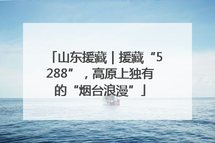 山东援藏｜援藏“5288”，高原上独有的“烟台浪漫”