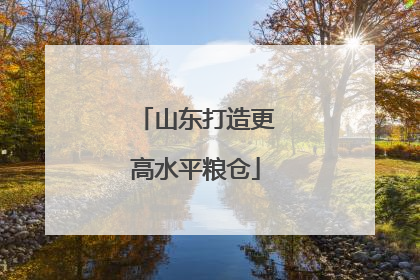山东打造更高水平粮仓