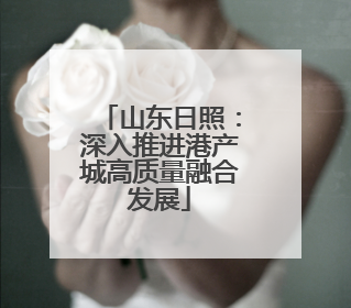 山东日照：深入推进港产城高质量融合发展