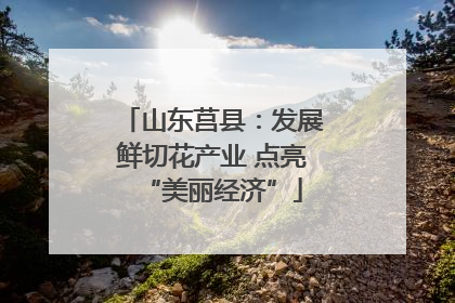 山东莒县：发展鲜切花产业 点亮“美丽经济”