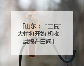 山东：“三夏”大忙将开始 机收减损在田间