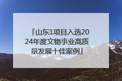 山东1项目入选2024年度文物事业高质量发展十佳案例