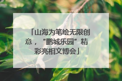山海为笔绘无限创意，“鹏城乐园”精彩亮相文博会