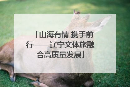 山海有情 携手前行——辽宁文体旅融合高质量发展
