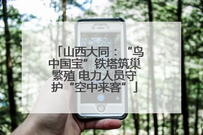 山西大同：“鸟中国宝”铁塔筑巢繁殖 电力人员守护“空中来客”