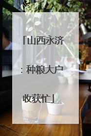 山西永济：种粮大户收获忙