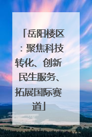岳阳楼区：聚焦科技转化、创新民生服务、拓展国际赛道