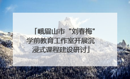 峨眉山市“刘春梅”学前教育工作室开展沉浸式课程建设研讨
