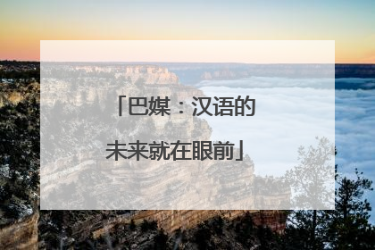 巴媒：汉语的未来就在眼前