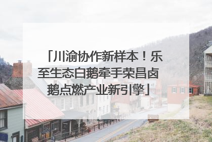 川渝协作新样本！乐至生态白鹅牵手荣昌卤鹅点燃产业新引擎
