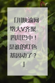 川陕渝网络大V齐聚四川巴中！是谁的红色基因动了？
