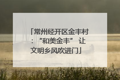 常州经开区金丰村：“和美金丰” 让文明乡风吹进门