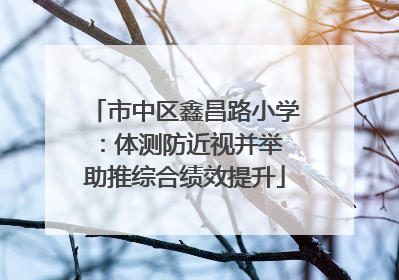 市中区鑫昌路小学：体测防近视并举 助推综合绩效提升