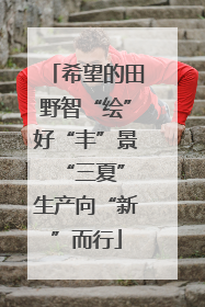 希望的田野智“绘”好“丰”景 “三夏”生产向“新”而行