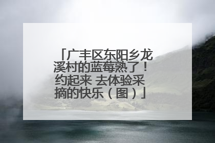 广丰区东阳乡龙溪村的蓝莓熟了！约起来 去体验采摘的快乐（图）