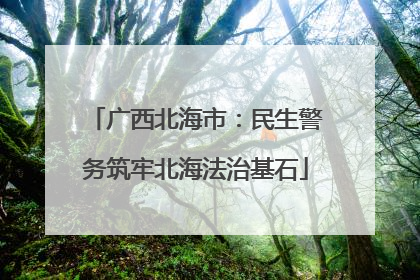 广西北海市：民生警务筑牢北海法治基石