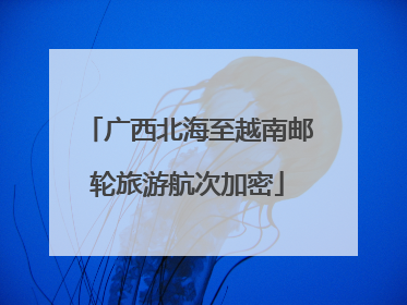 广西北海至越南邮轮旅游航次加密