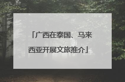 广西在泰国、马来西亚开展文旅推介